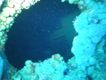 Ship Wreck