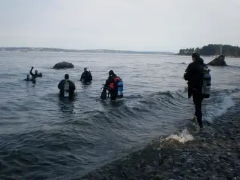 Divers