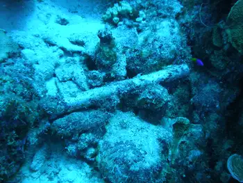 Debris