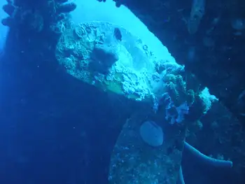 Ship Wreck