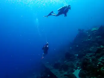 Divers