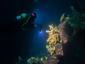 Cloud Sponge