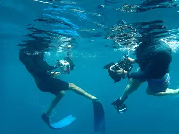 snorkeler