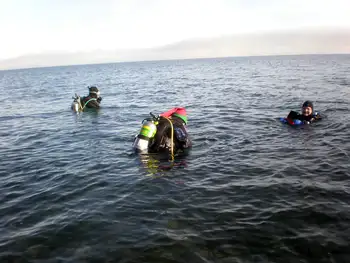 Divers