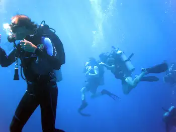 Divers