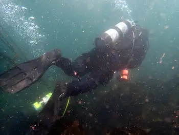 Diver