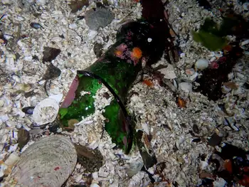 Debris