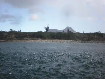 Shoreline