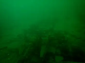 Ship Wreck