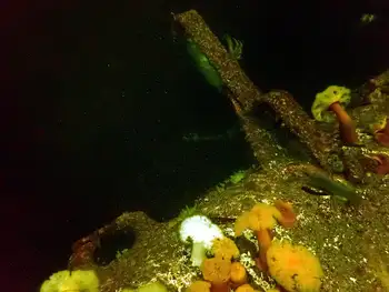 Ship Wreck