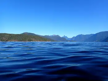 Dive Site