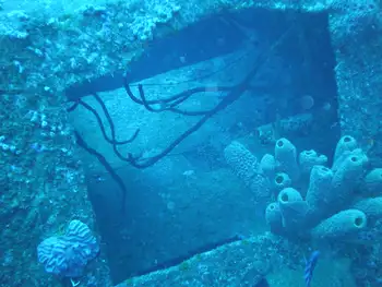 Ship Wreck