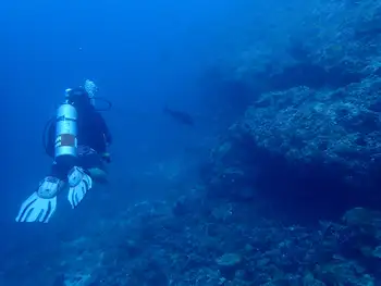 Diver
