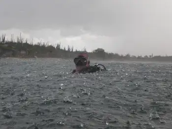 Diver