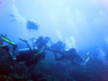 Divers