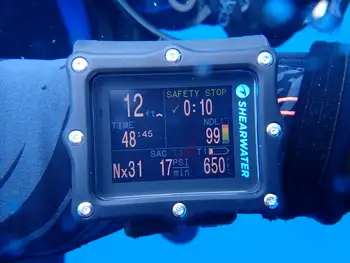 Diver