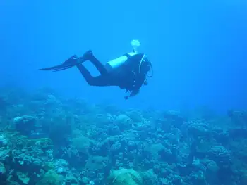 Diver