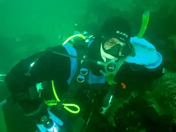 Diver