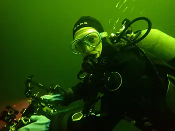 Diver