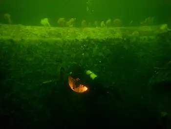 Ship Wreck