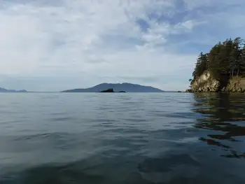 Bay