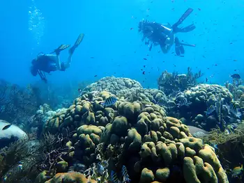 Coral