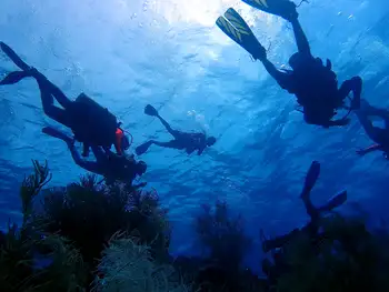 diver