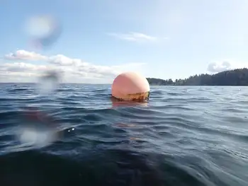 Dive Site