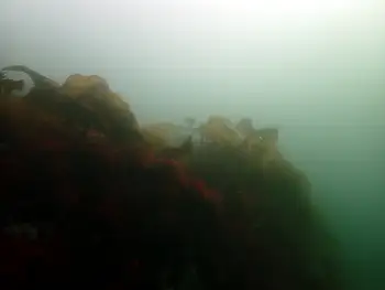 Dive Site