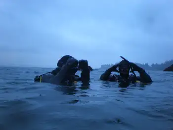 Divers