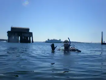 Diver