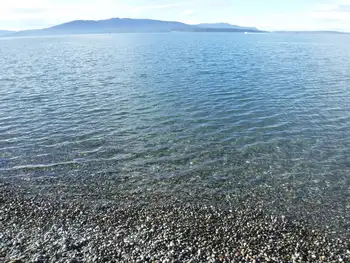Shoreline