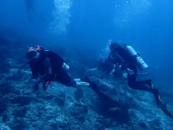 Divers