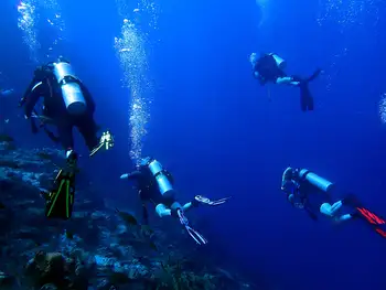 Divers