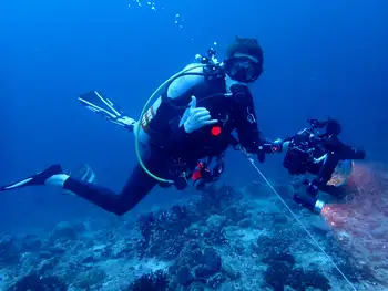 Diver