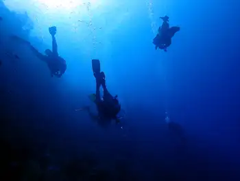 Divers