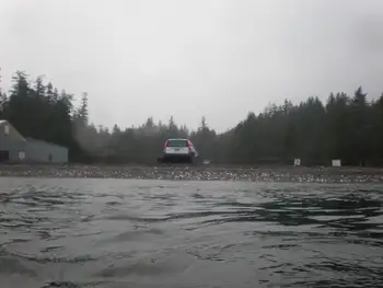 Dive Site