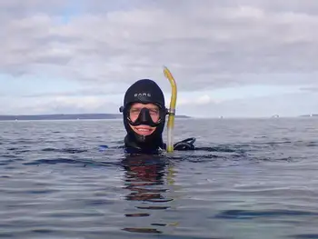 Diver
