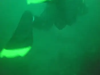 Diver