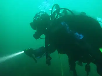 Diver