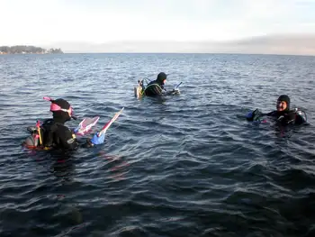 Divers