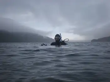 Diver