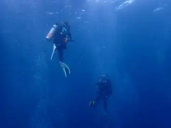 Divers