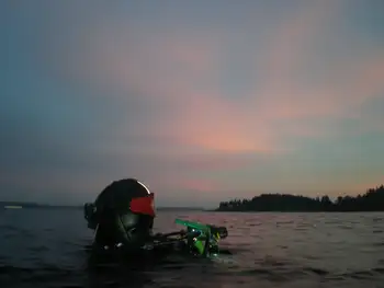 Diver