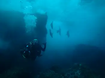 Diver