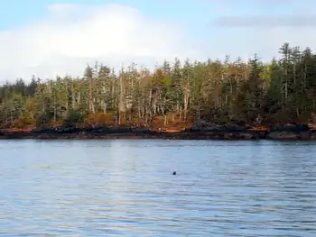 Dive Site