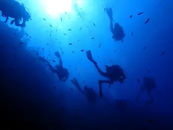 Divers