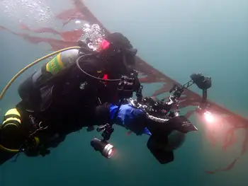 Bull Kelp
