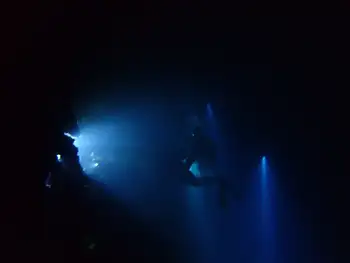 Divers