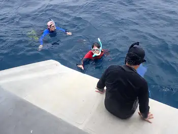 Snorkelers